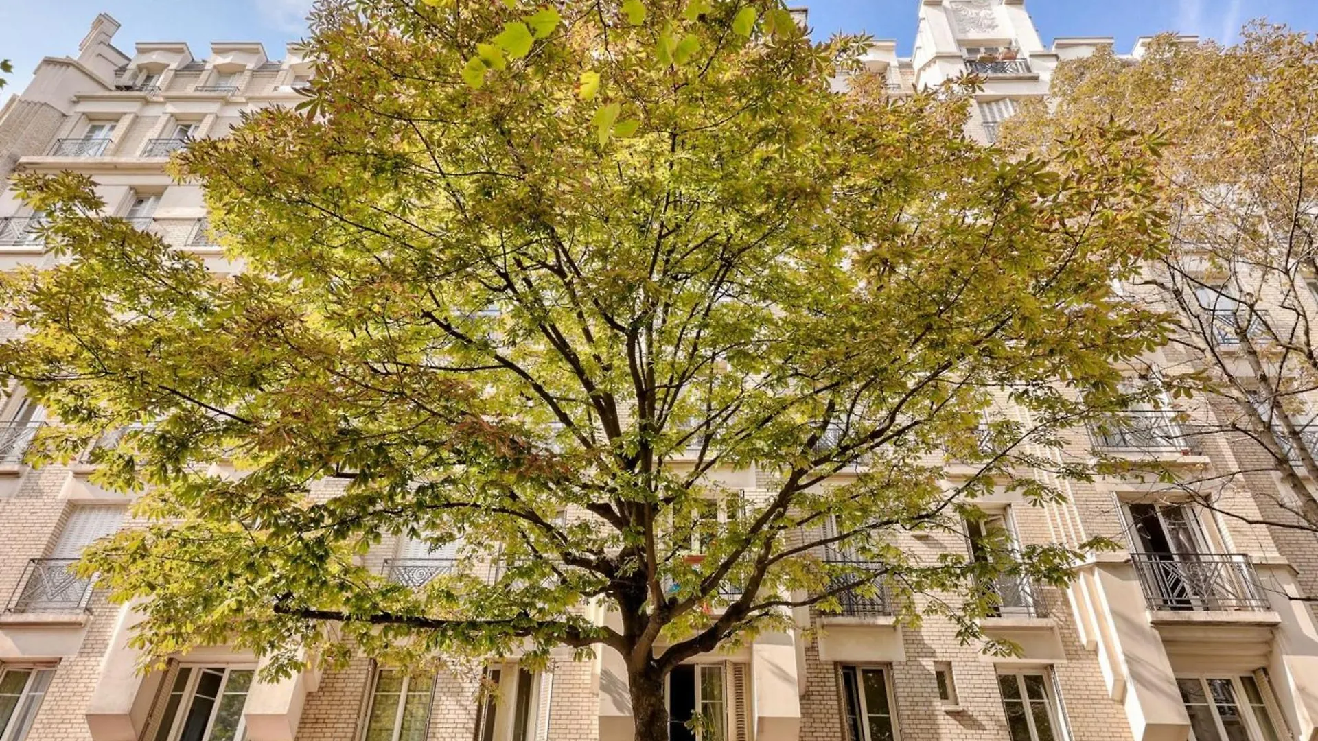 Flexliving - Studio - Crimee Paris France